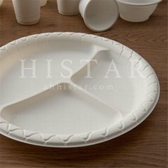 Biodegradable and environmentally friendly disposable food tray with 3 grids