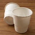 Environmental protection degradable cup