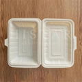 Biodegradable take-out lunch box