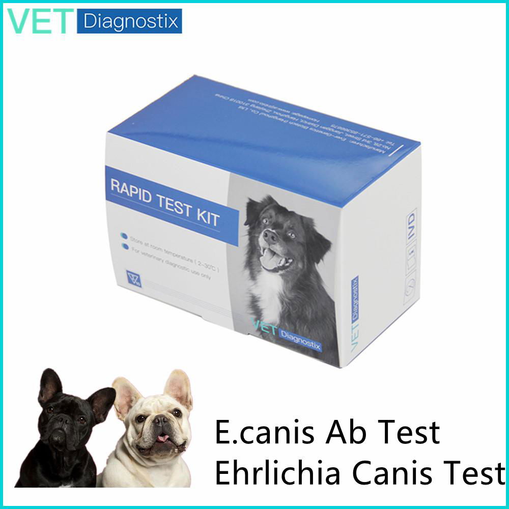 Canine Ehrlichia canis Antibody Test Kit