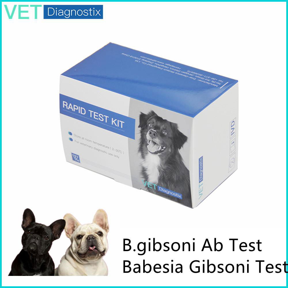 Babesia gibsoni Antibody Rapid Test kit