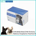 Ehrlichia/Babesia/Anaplasma/Heartworm