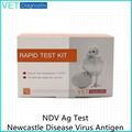 Newcastle Virus Antigen Rapid Test 1