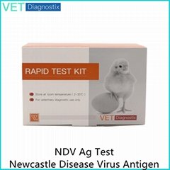 Newcastle Virus Antigen Rapid Test