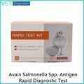 Salmonella spp. Antigen Rapid Test
