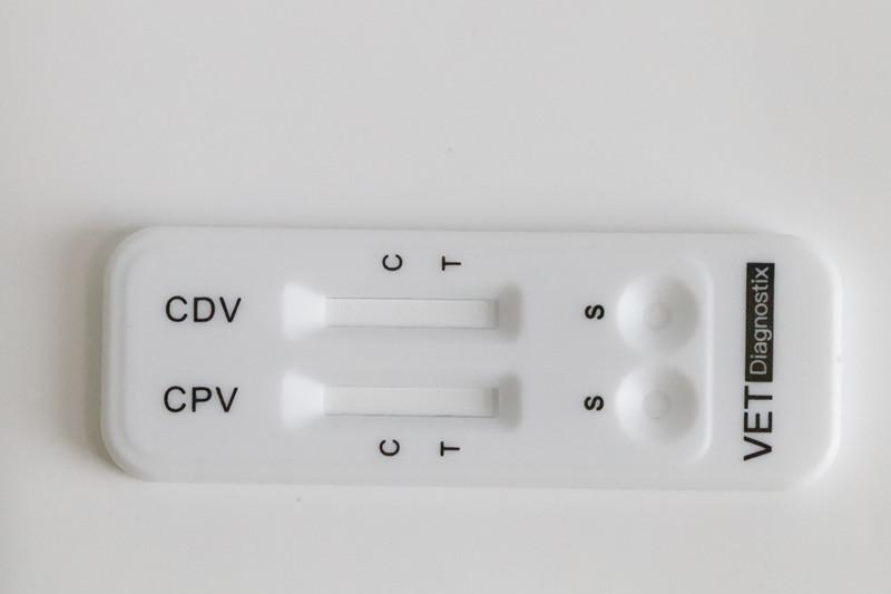 Canine Parvovirus Distemper Virus Antigen Combo Test 2