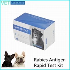 Canine Rabies Antibody Test