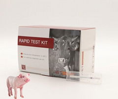 Transmissible Gastroenteritis Coronavirus  Antigen Rapid Test