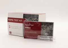 Ovine Echinococcus Granulosus Antibody Rapid Test Kit