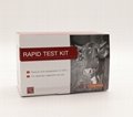 Ovine Echinococcus Granulosus Antibody Rapid Test Kit