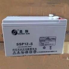 山東聖陽蓄電池SSP12-12-18直流屏UPS/EPS應急電源 2