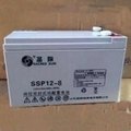 山东圣阳蓄电池SSP12-12-18直流屏UPS/EPS应急电源 2