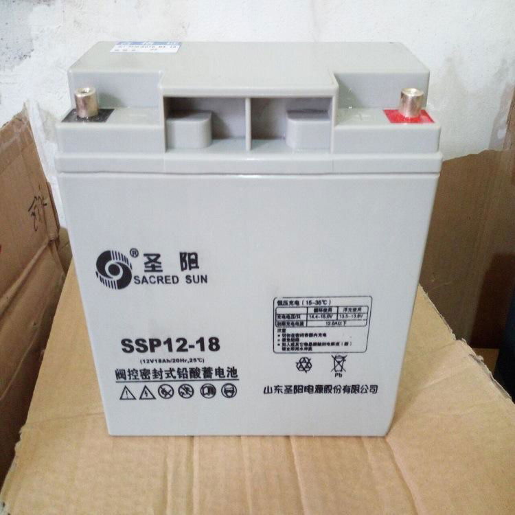 山东圣阳蓄电池SSP12-12-18直流屏UPS/EPS应急电源 4