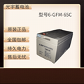 原装光宇蓄电池6-GFM-38 12V38AH应急电源直流屏用 4
