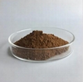 RHODIOLA ROSEA EXTRACT