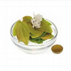 EPIMEDIUM EXTRACT