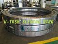 Large Size Three Row Cylindrical Roller Slewing Bearing 012.50.3300