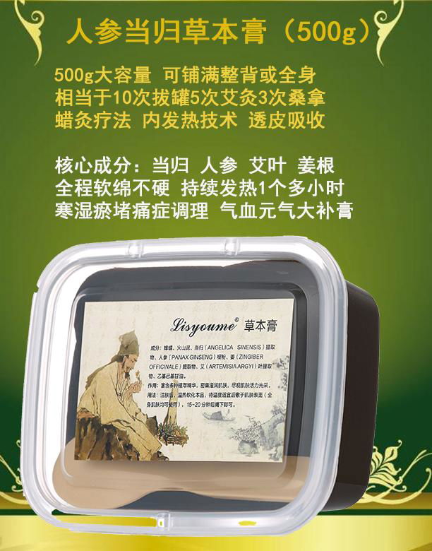 Angelica ginseng herbal ointment 2