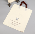 Reusable Customized Design Printed Wholesale PE Handle shopping bag 2