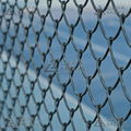 Chain Link Fence    Chain Link Fence