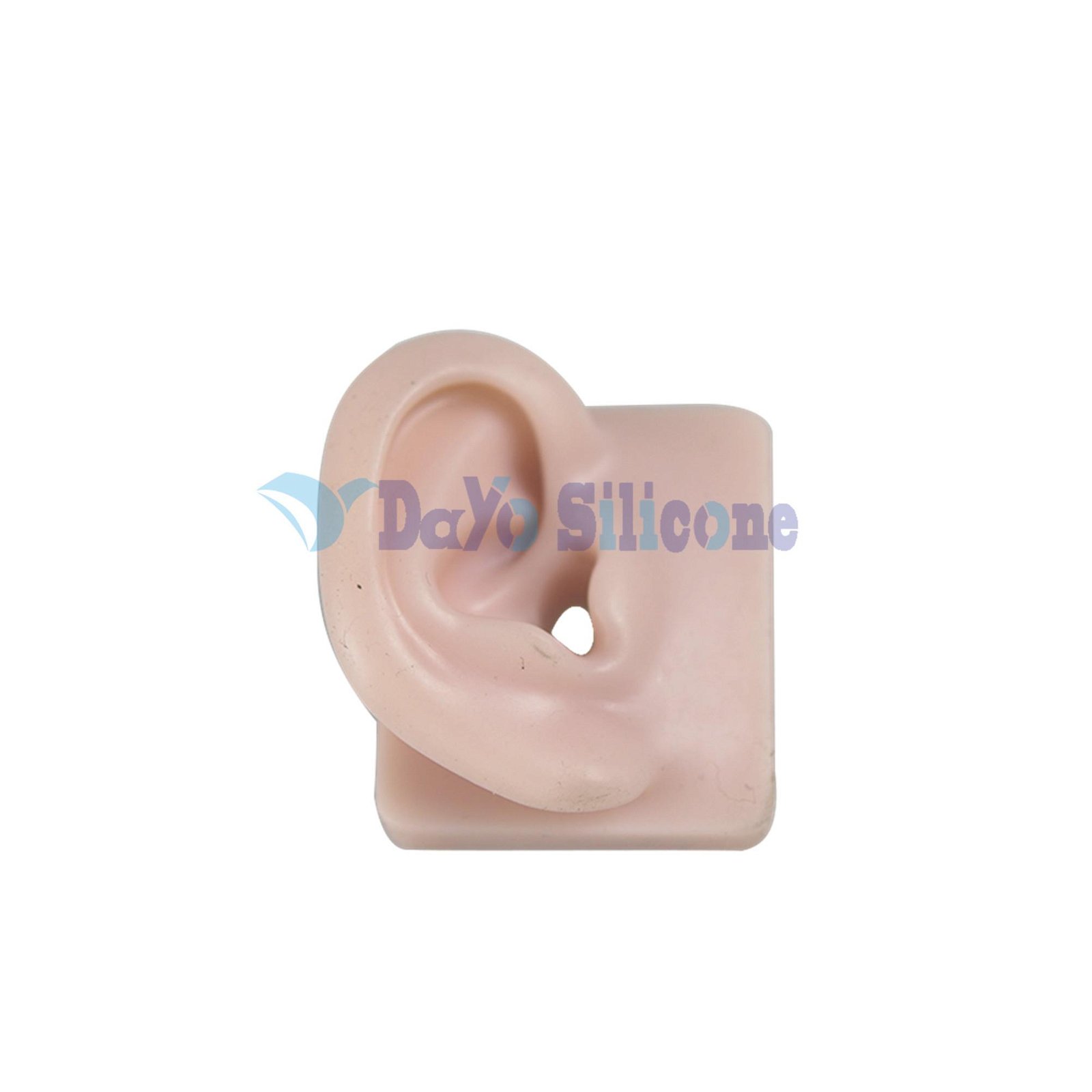 Ear Model Super Soft Silicone 2