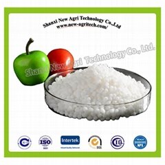 White granular Calcium Nitrate for agriculture