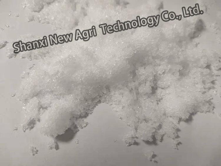 Monoclinic crystal Magnesium Nitrate for agriculture and industry 2