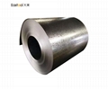 Big Spangle Galvanized Steel 1