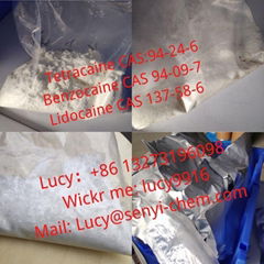 Best price with safe delivery Tetracaine CAS 94-24-6/ Benzocaine CAS 94-09-7