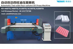 EPE Foam Hydraulic Press Machine Two side Two station Die Cutting Macine Veinas