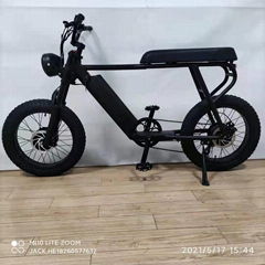 20"x4.0休閒車