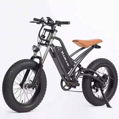 E-BIKE 20"X4.0