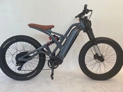 2"x4.0E-BIKE