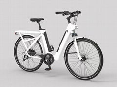 E-BIKE