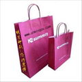 We produce color printed Paper Bag,