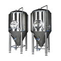 beer fermentation equipment micro