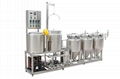 Nano brewery equipment pub brewing system beer bar brewing  3