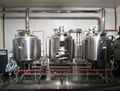 Nano brewery equipment pub brewing system beer bar brewing  5