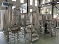 Brewpub system 3HL 5HL Compact brewing system pub brewery 4