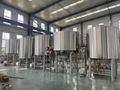 20HL 10HL Automatic Brewing System for Commercial Brewery