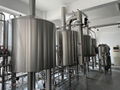 30HL 20HL Automated Commercial Brewery