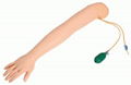 高級手臂靜脈穿刺訓練示教模型（帶三角肌注射） 3