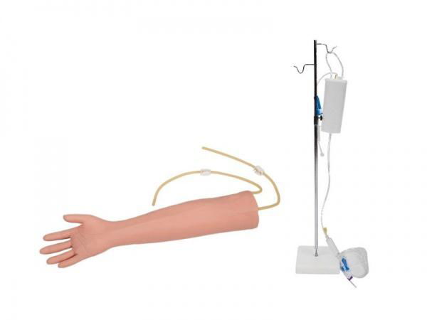 高级手臂静脉穿刺训练示教模型（带三角肌注射） 5