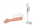 高級手臂靜脈穿刺訓練示教模型（帶三角肌注射） 5