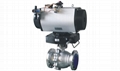 Control Ball Valves 1