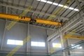 LD Electric Single-Girder Overhead Crane i 2