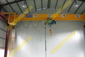 LD Electric Single-Girder Overhead Crane i 4