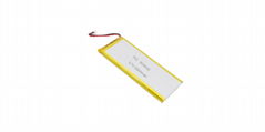 9059156-10000mah 3.7V Lipo Battery