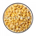 Bulk Freeze Dried Corn 1