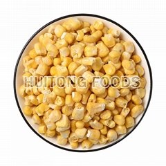 Bulk Freeze Dried Corn